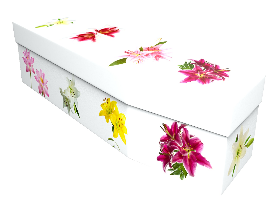 Lily Cardboard Coffin