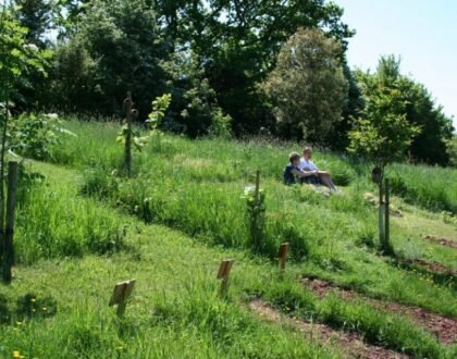 Coffins for natural burial