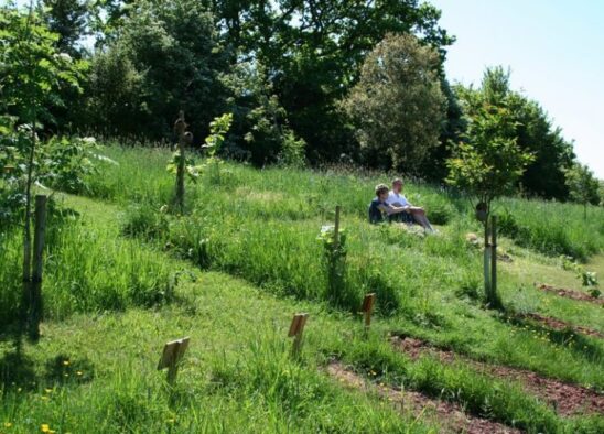 Natural Burial Coffins