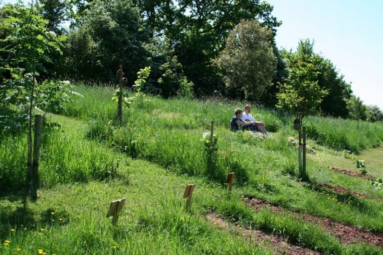 Natural Burial Coffins